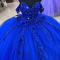 Quince Dress | Royal Blue Quinceanera Dresses Luxury Crystal 3D Flower Applique Princess Birthday Party Vestidos de 15 años Corset